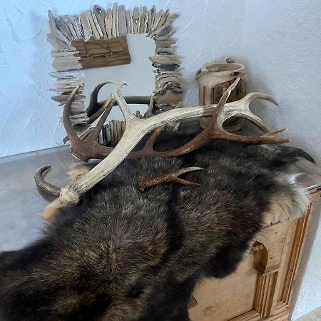 Haus Schnoeller Apartman Bach  Kültér fotó